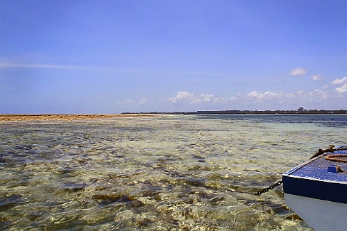 Kenia (535)